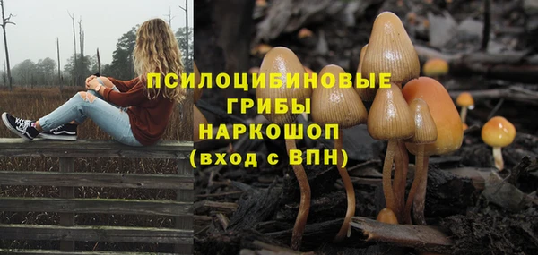 дживик Мегион