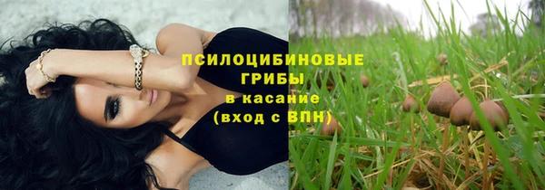 ALPHA PVP Чердынь
