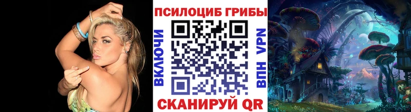МЕГА tor  Туймазы  Псилоцибиновые грибы Psilocybine cubensis  закладки 