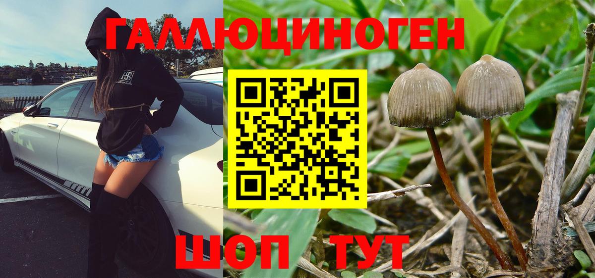 Галлюциногенные грибы мухоморы Туймазы
